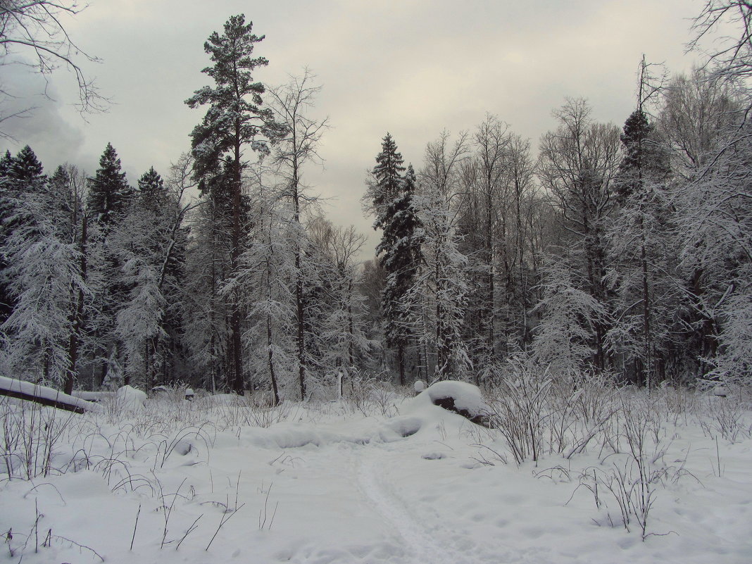Всё еще зима - Андрей Лукьянов