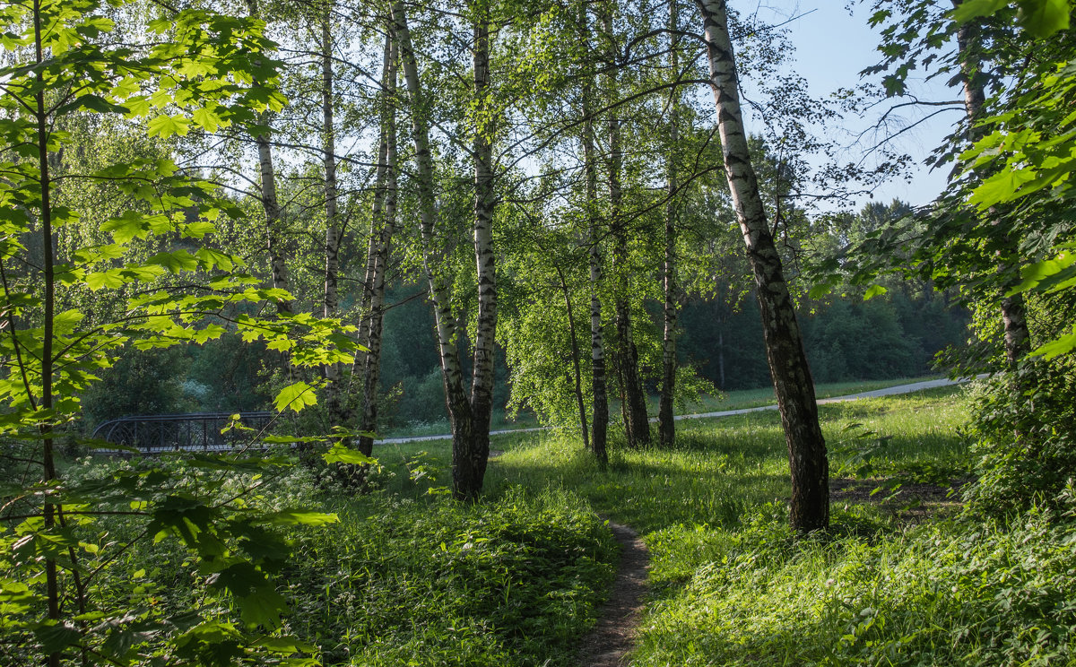 *** - Владимир Безбородов