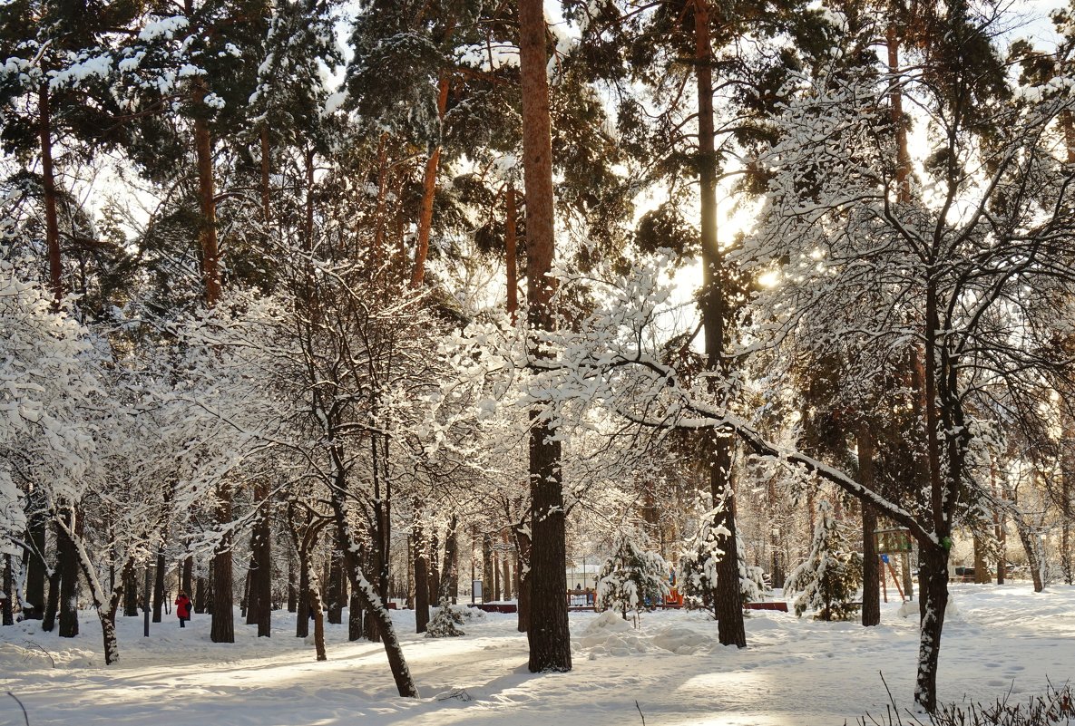 Солнечный день - Nataly St. 