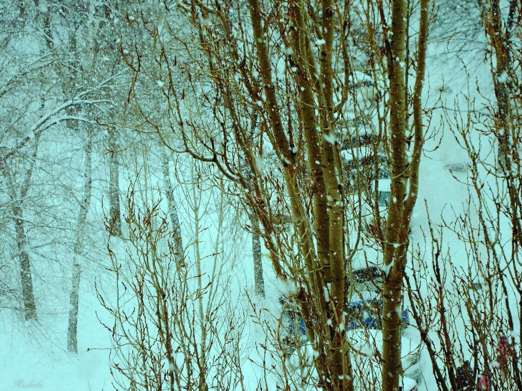 Снег, снег - Raduzka (Надежда Веркина)