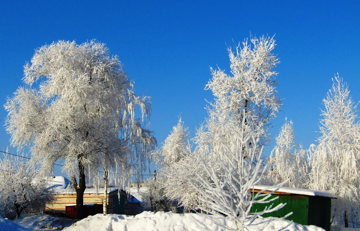 Самый красивый день зимы - Наталья Красильникова