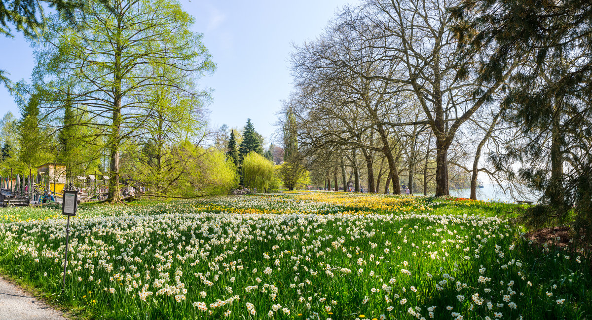 Blumeninsel Mainau - Viktor S