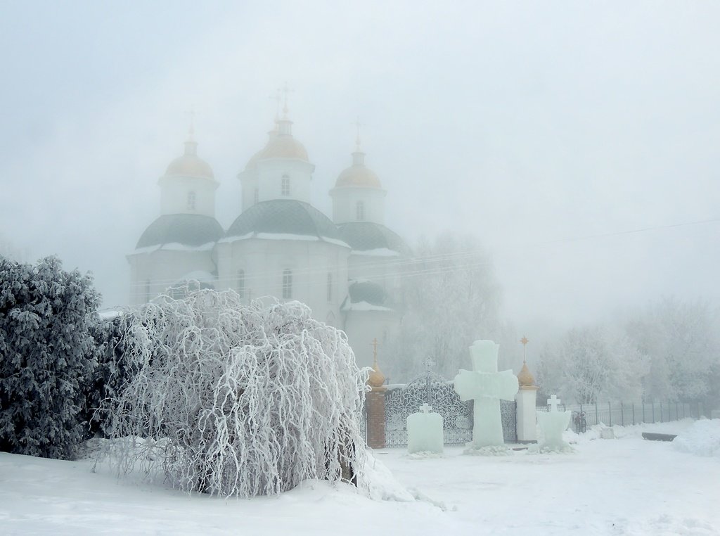 Родной город - Роман Савоцкий