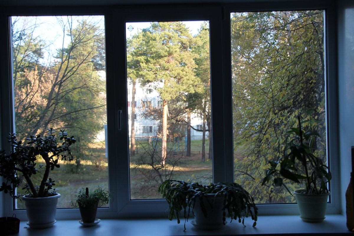 Моё окно - Олег Афанасьевич Сергеев