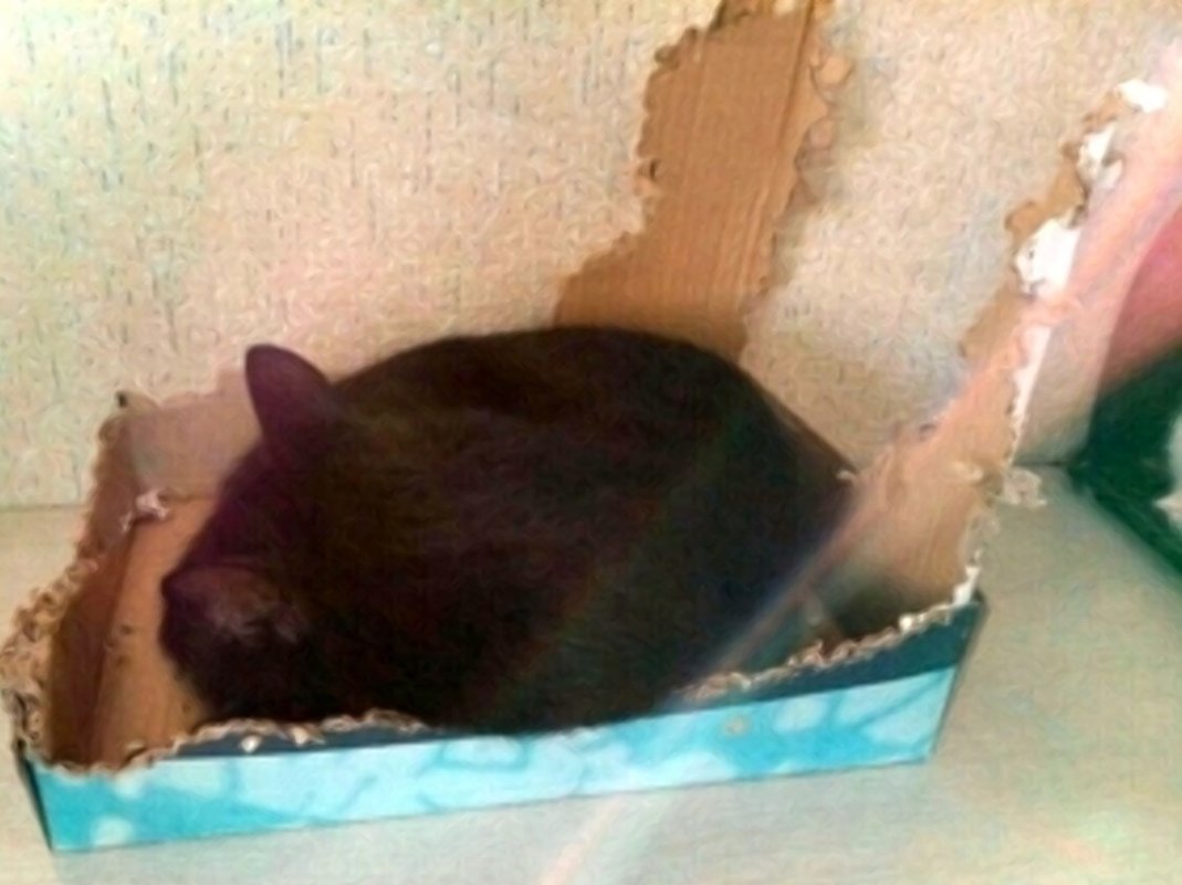 Кошка и ее коробка. Сама разгрызла(построила) - Татьяна Гусева