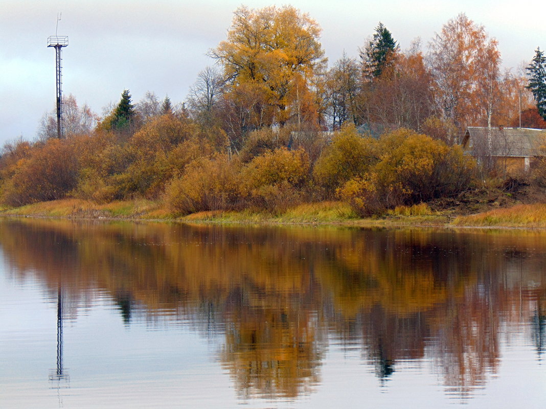 осень - Юлия Ошуркова