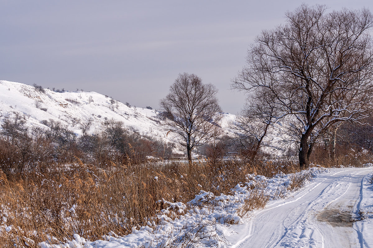 Загородная прогулка - Игорь Сикорский