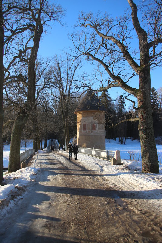 Пиль-башня в Павловском парке - Наталья Герасимова