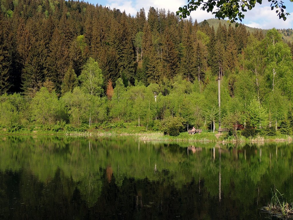 Карпаты - Роман Савоцкий