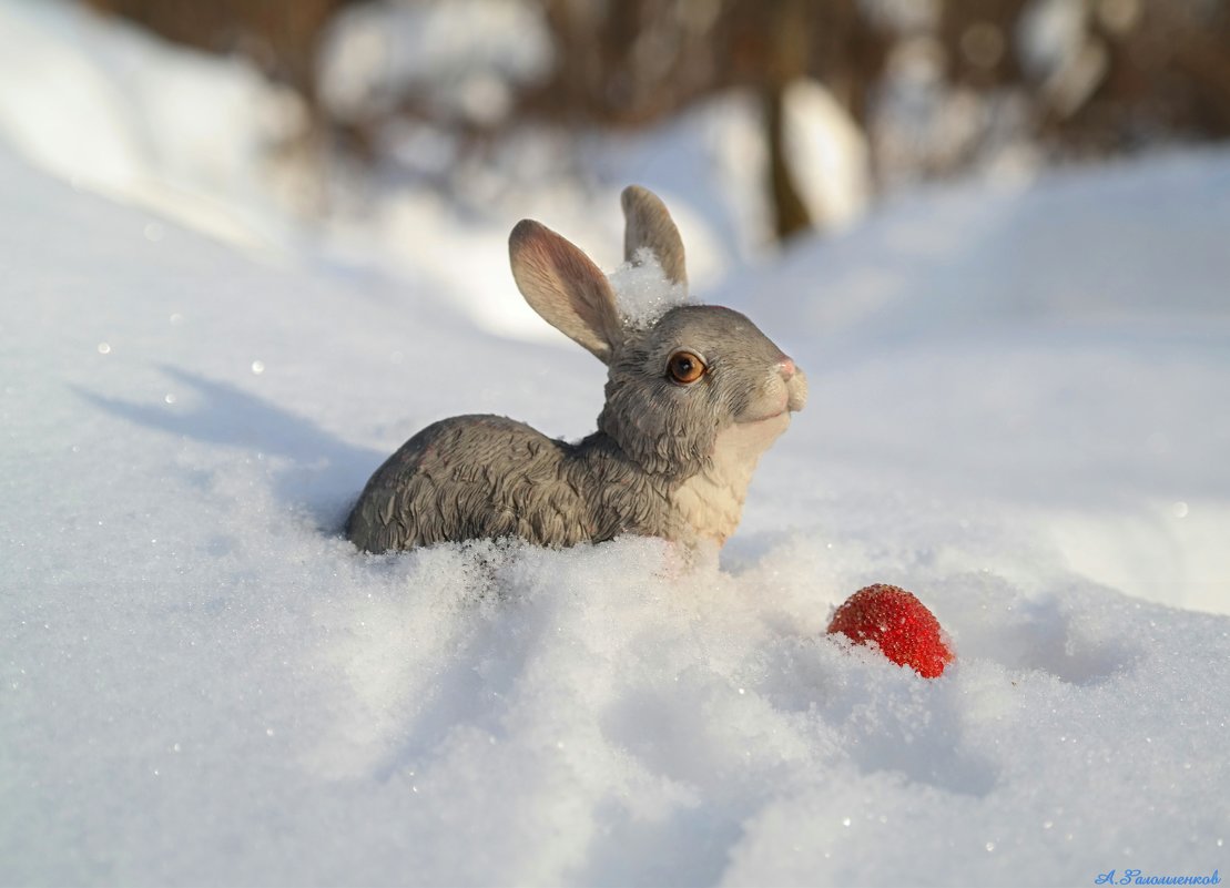 И зайцы уж почуяли весну..:-) - Андрей Заломленков