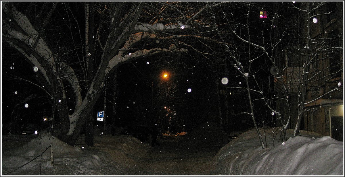Зимний вечер - muh5257 