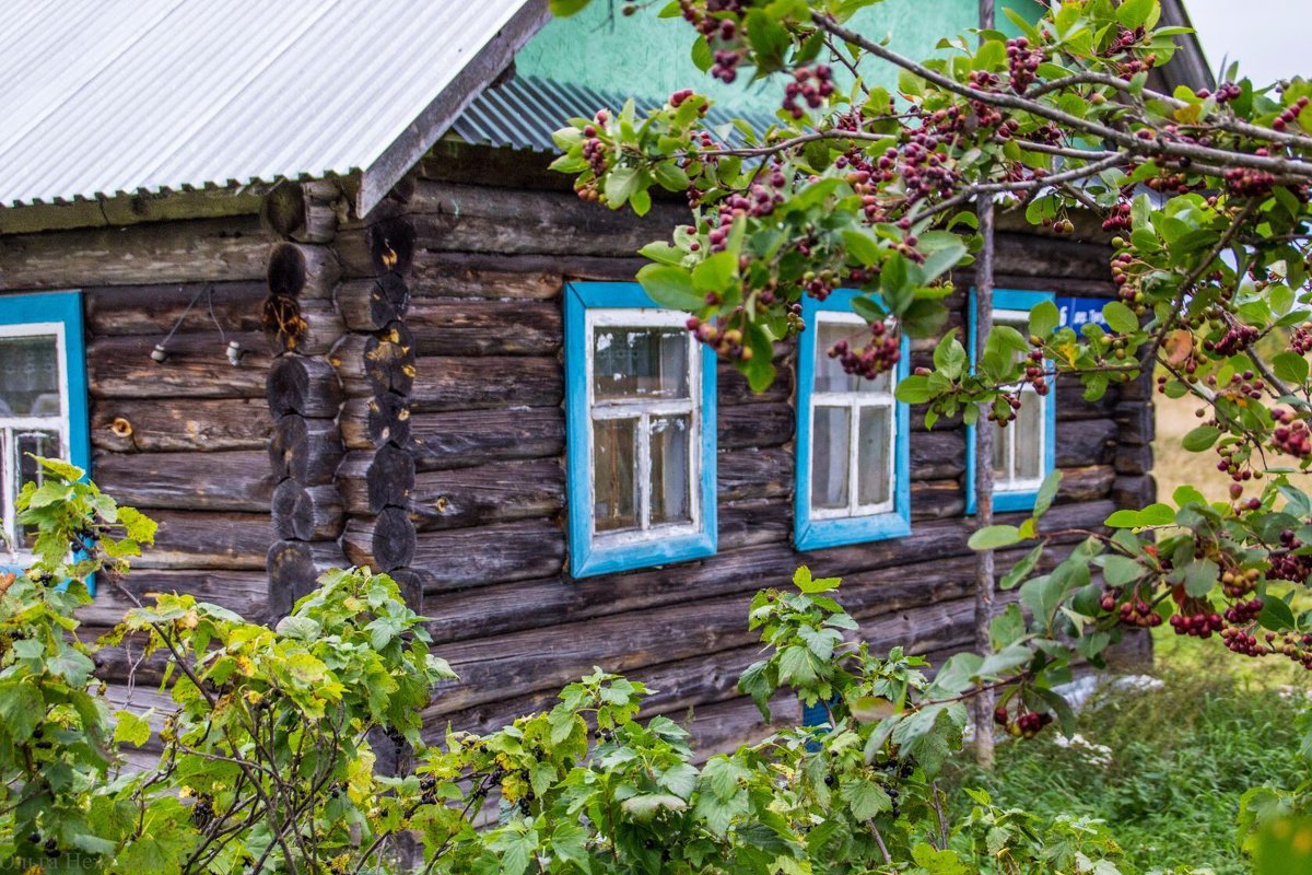 Домик в деревне - Ольга Нежикова