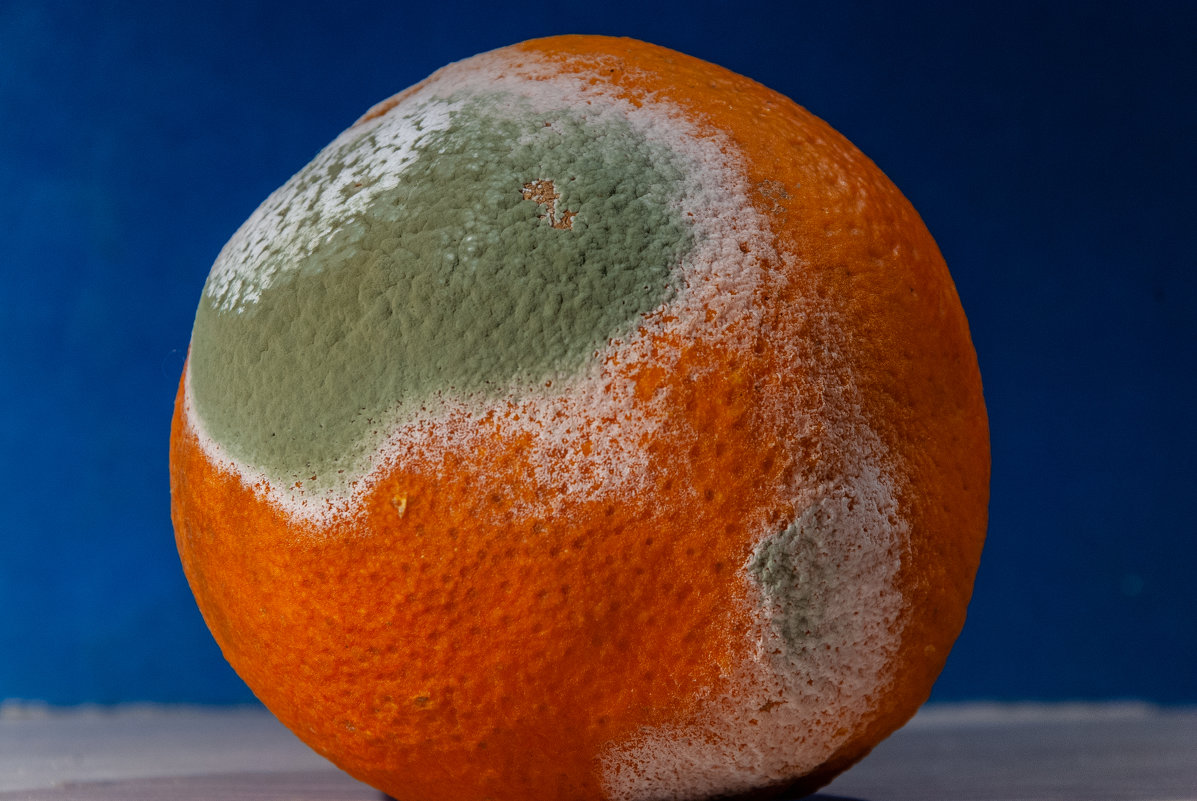 апельсиновый глобус - Валентина M