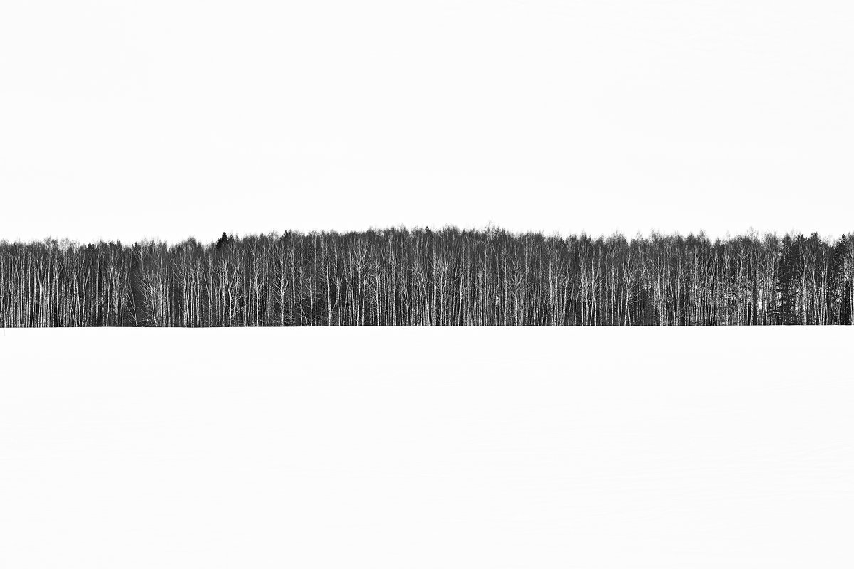 Forest line - Евгений Балакин