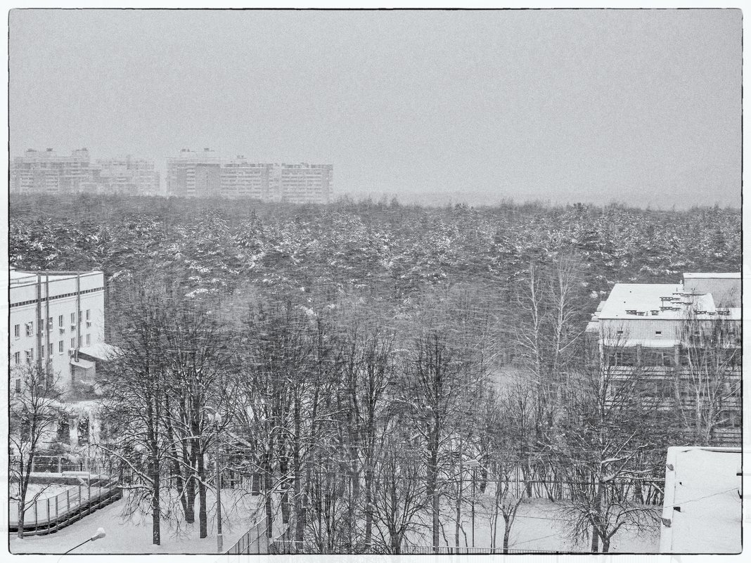 Снег летящий - Виталий Авакян