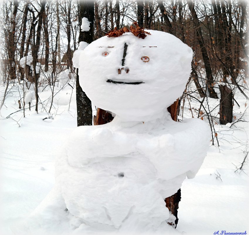По мере взросления ребёнка строение тела снежной бабы становится всё более детальным :-) - Андрей Заломленков