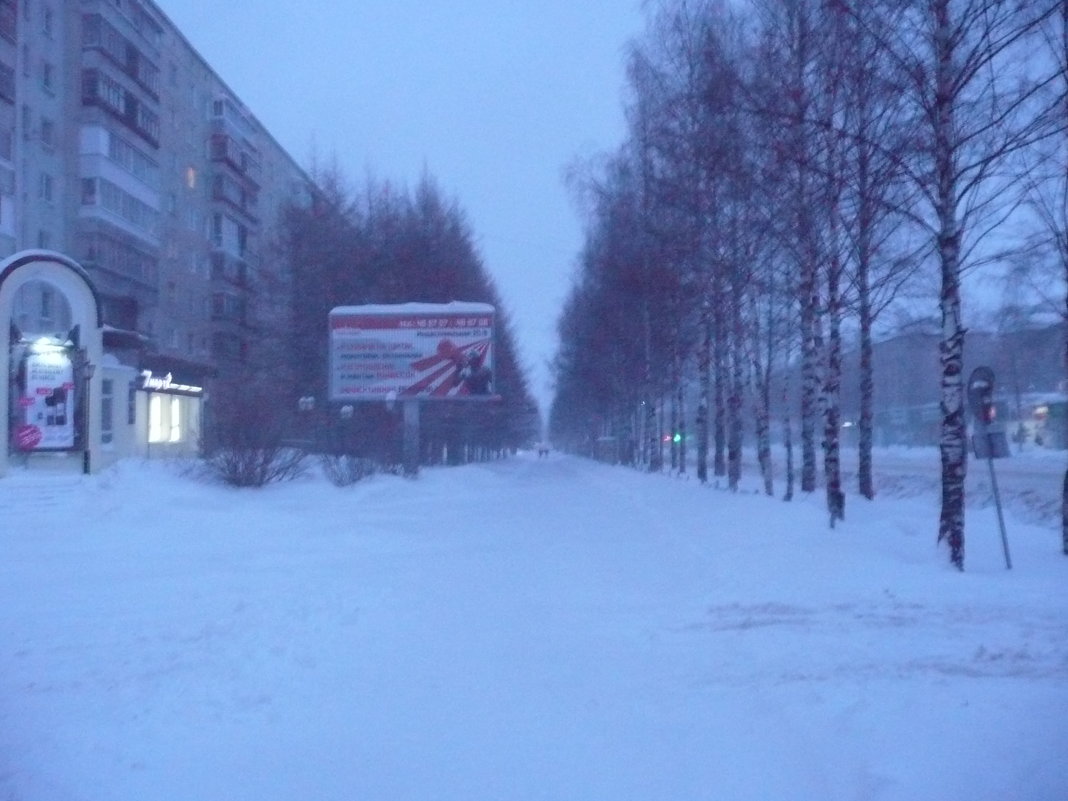 Метель в городе - Виктор 