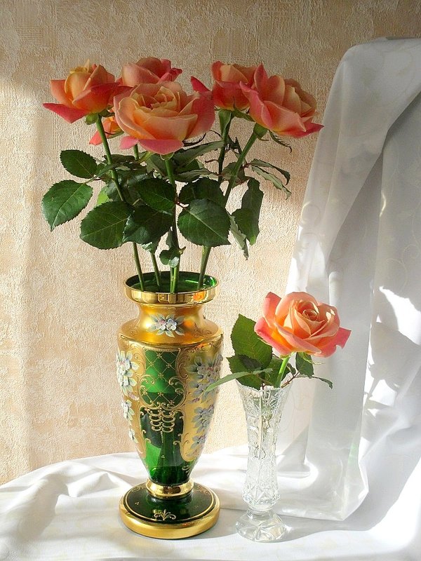Розы в вазах и в солнечных лучах февраля - Надежд@ Шавенкова