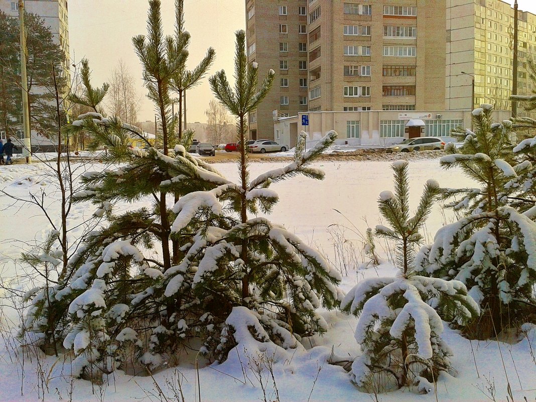 городской этюд - Владимир 