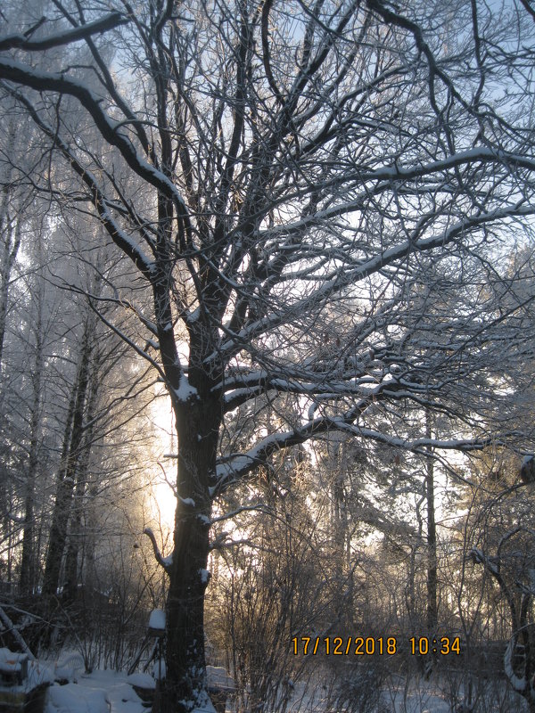 Солнце - Maikl Smit