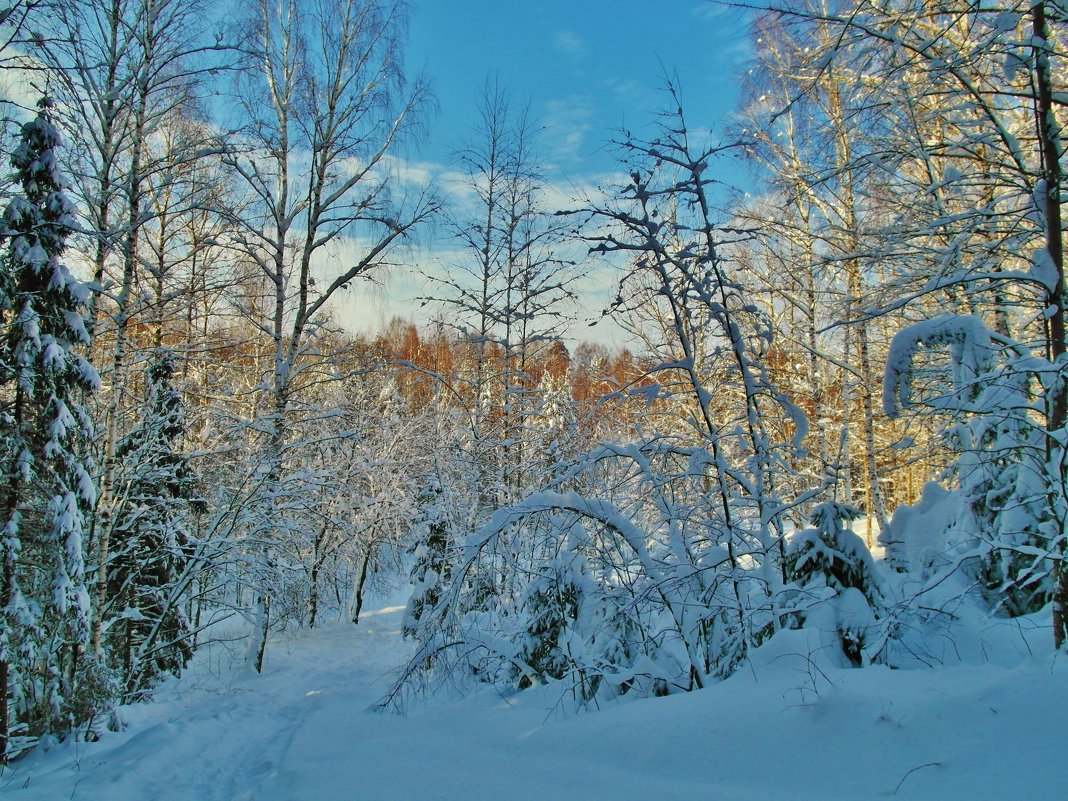 небо голубое,белый снег - Владимир 