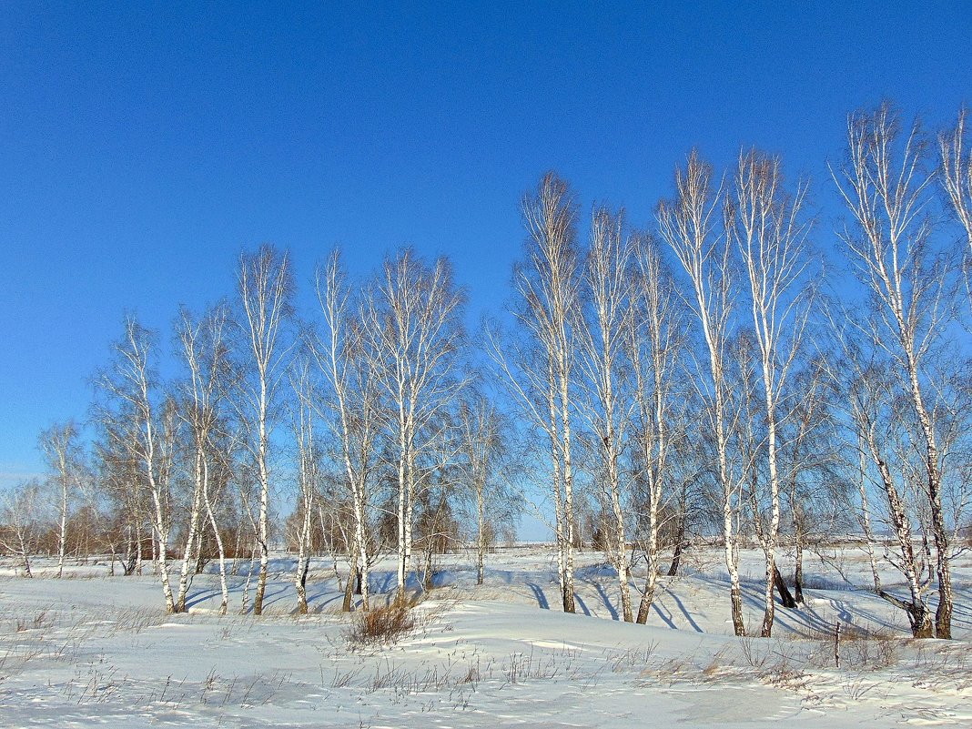 Небесная лазурь. - nadyasilyuk Вознюк