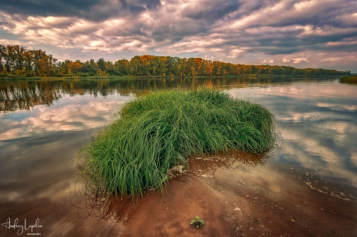 *** - Андрей Лепилин