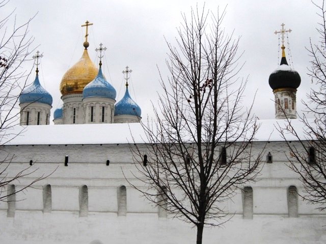 Новоспасский монастырь - Дмитрий Никитин