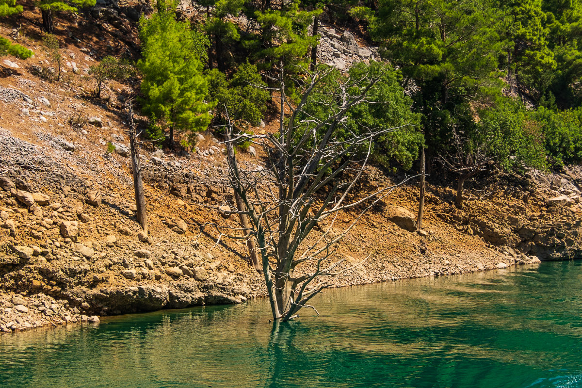 Парк Green Canyon - Сергей Карцев