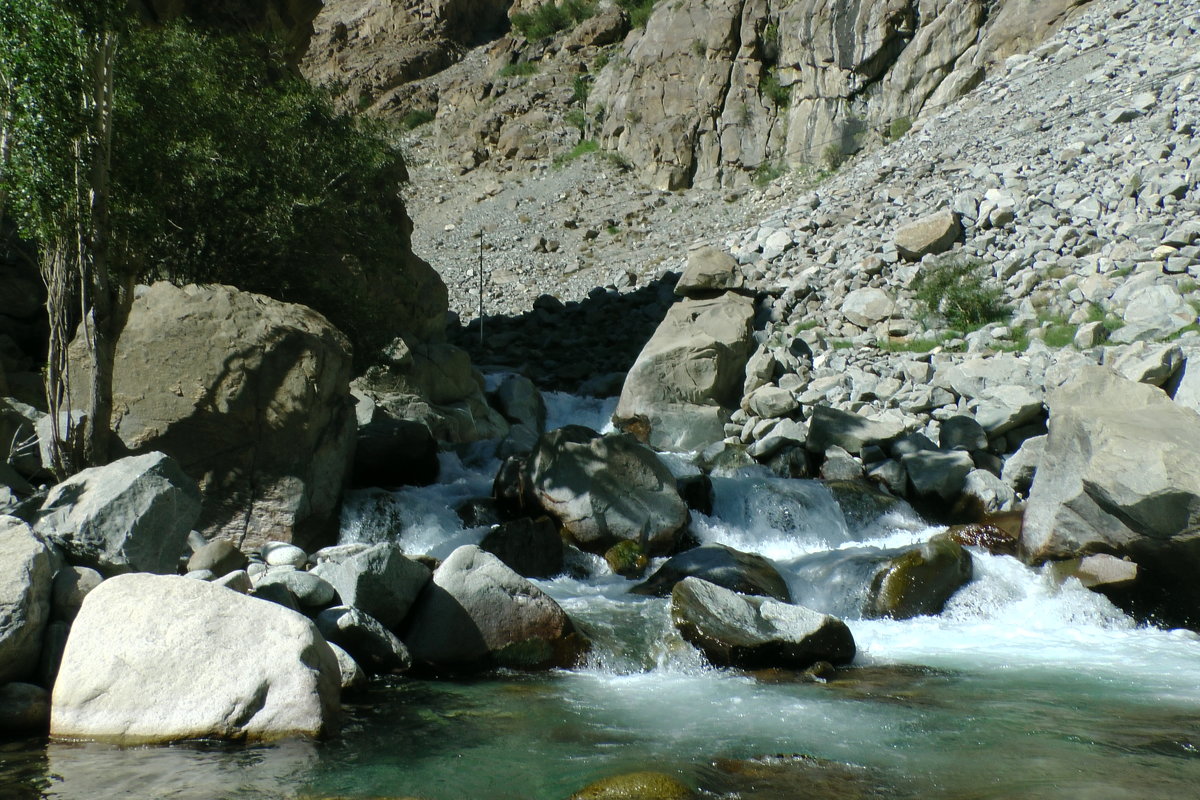Гималайская река - Evgeni Pa 