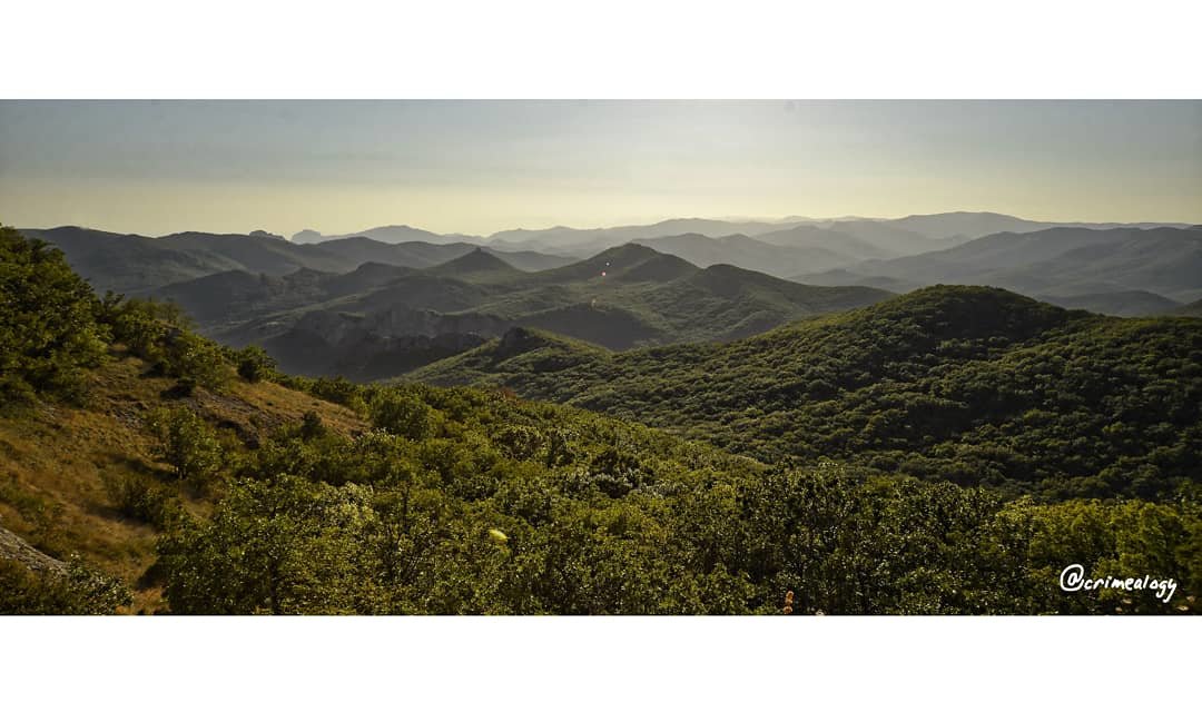 Лесные волны восточного  Крыма... Forest waves of the eastern Crimea... - Сергей Леонтьев