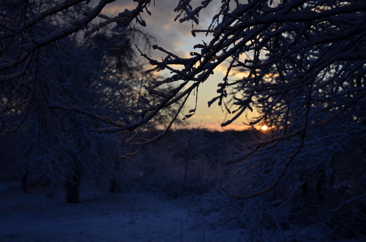 раннее зимнее утро - Геннадий Титов