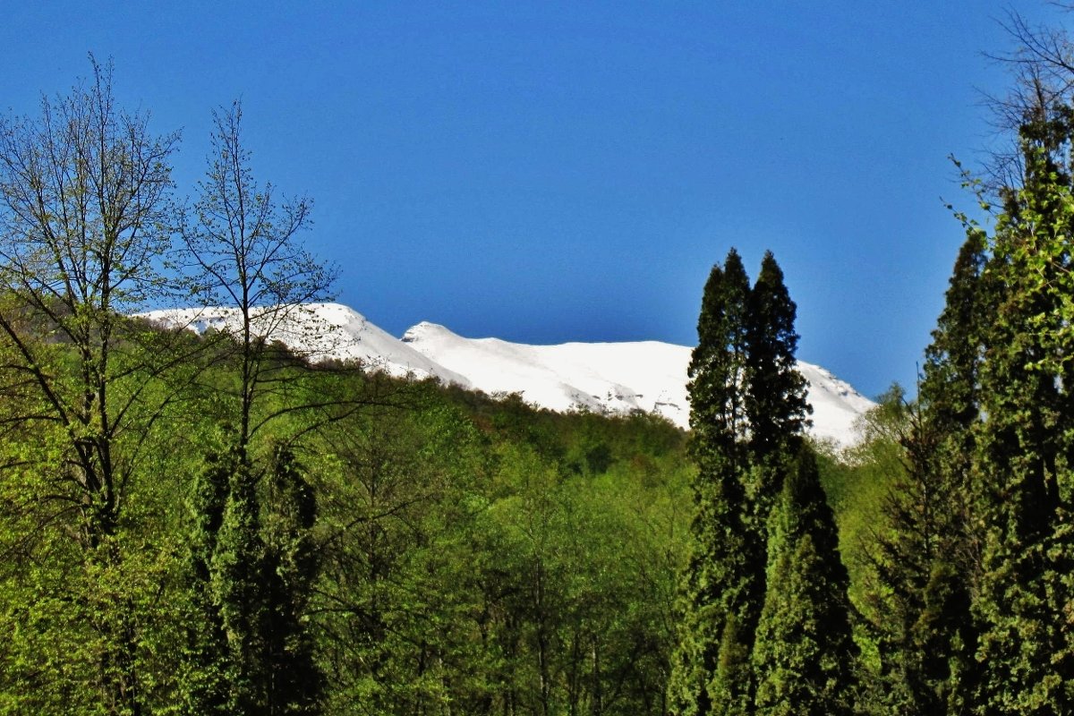 Вершины Главного Кавказского хребта - Елена (ЛенаРа)