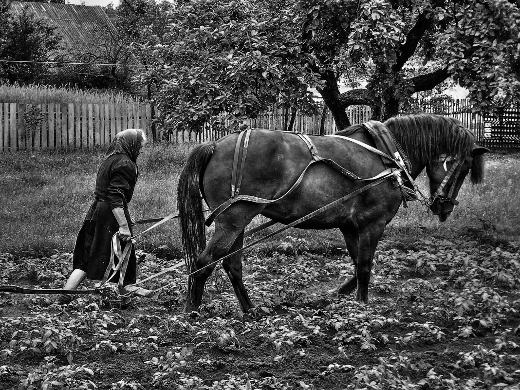 С праздником ! - олег свирский 