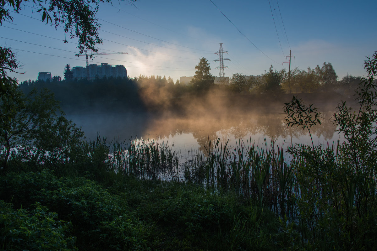 *** - Владимир Безбородов