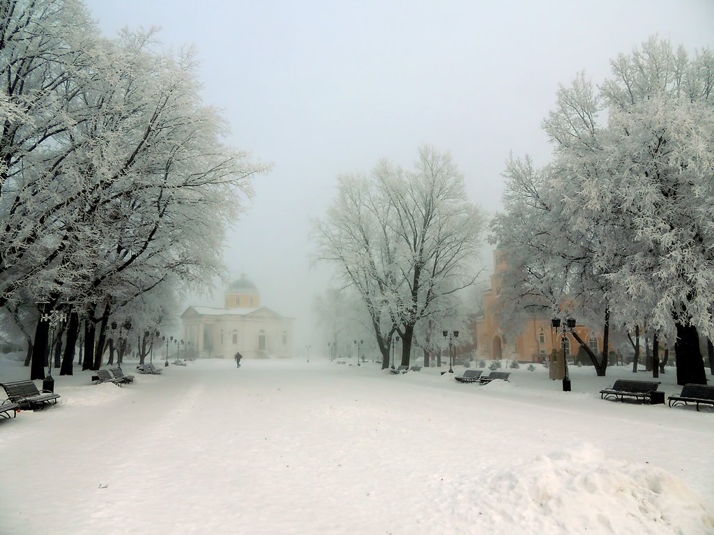 Зима в провинции - Роман Савоцкий