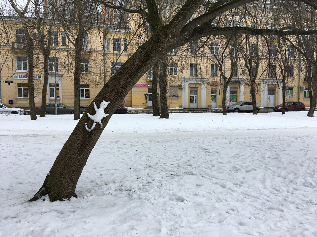 Снежный барс - Валентина Харламова