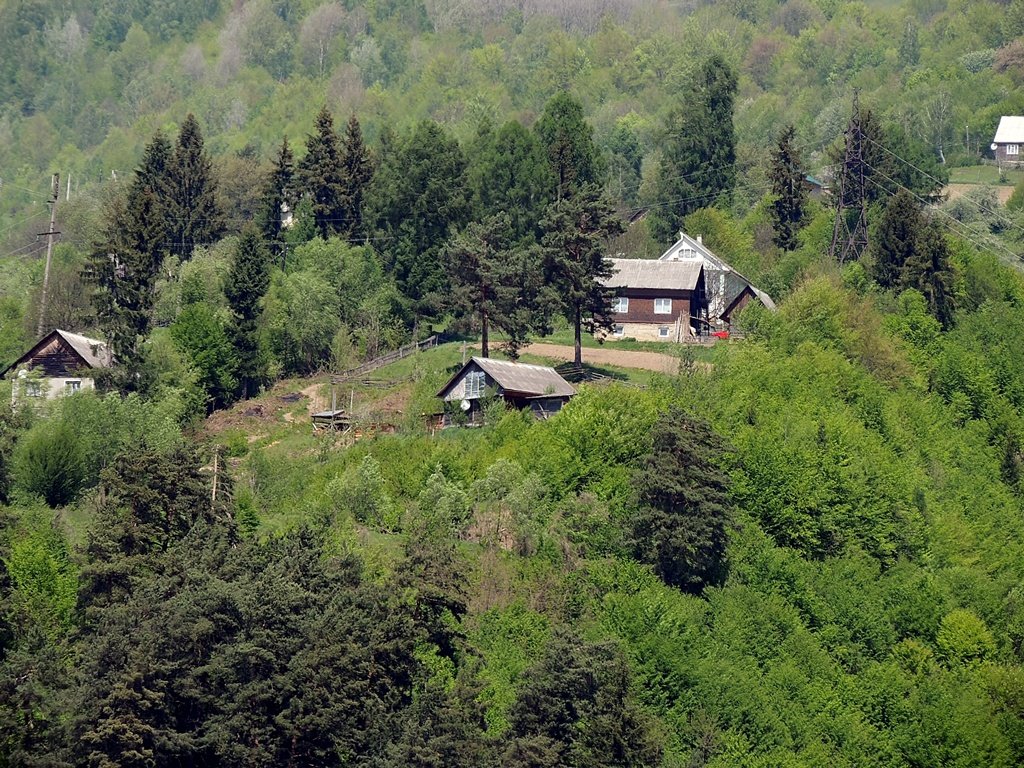 Карпаты - Роман Савоцкий