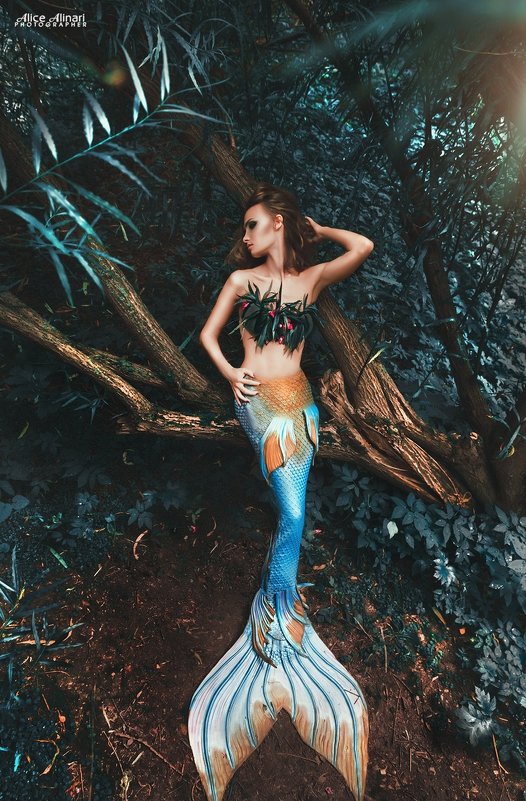 Mermaid - Ali Nari