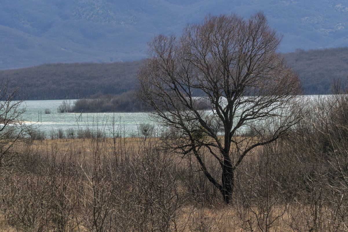 У Чернореченского водохранилища, март - Игорь Кузьмин