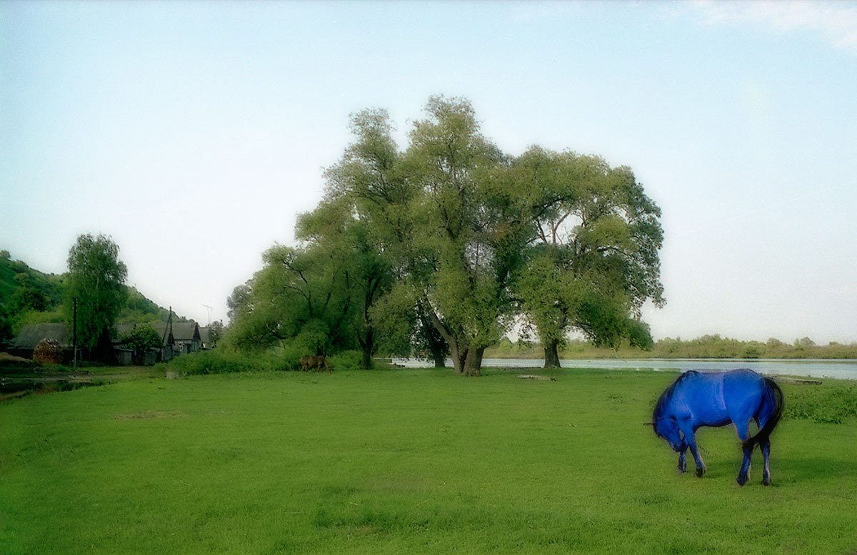 Сон о Синем коне на зелёной траве - Владимир Безгрешнов