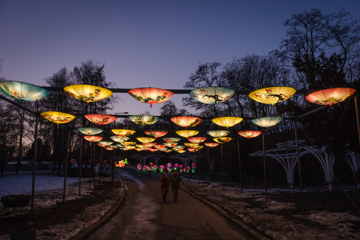 Выставка китайских фонарей - Андрей Нибылица