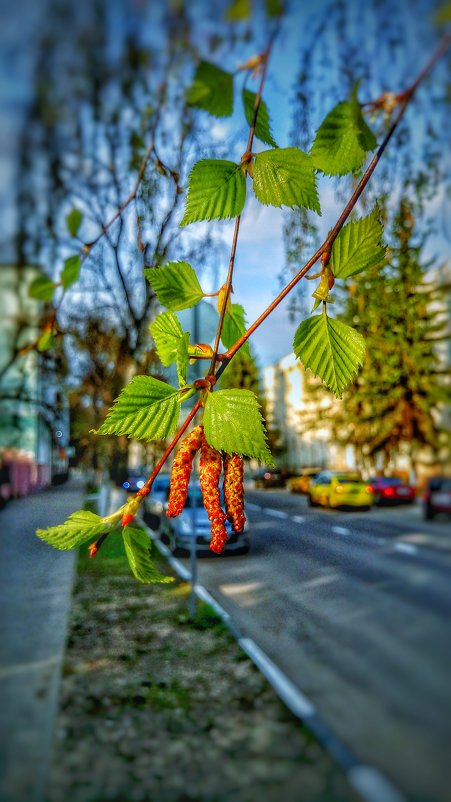 В ожидании весны... - Леонид Абросимов