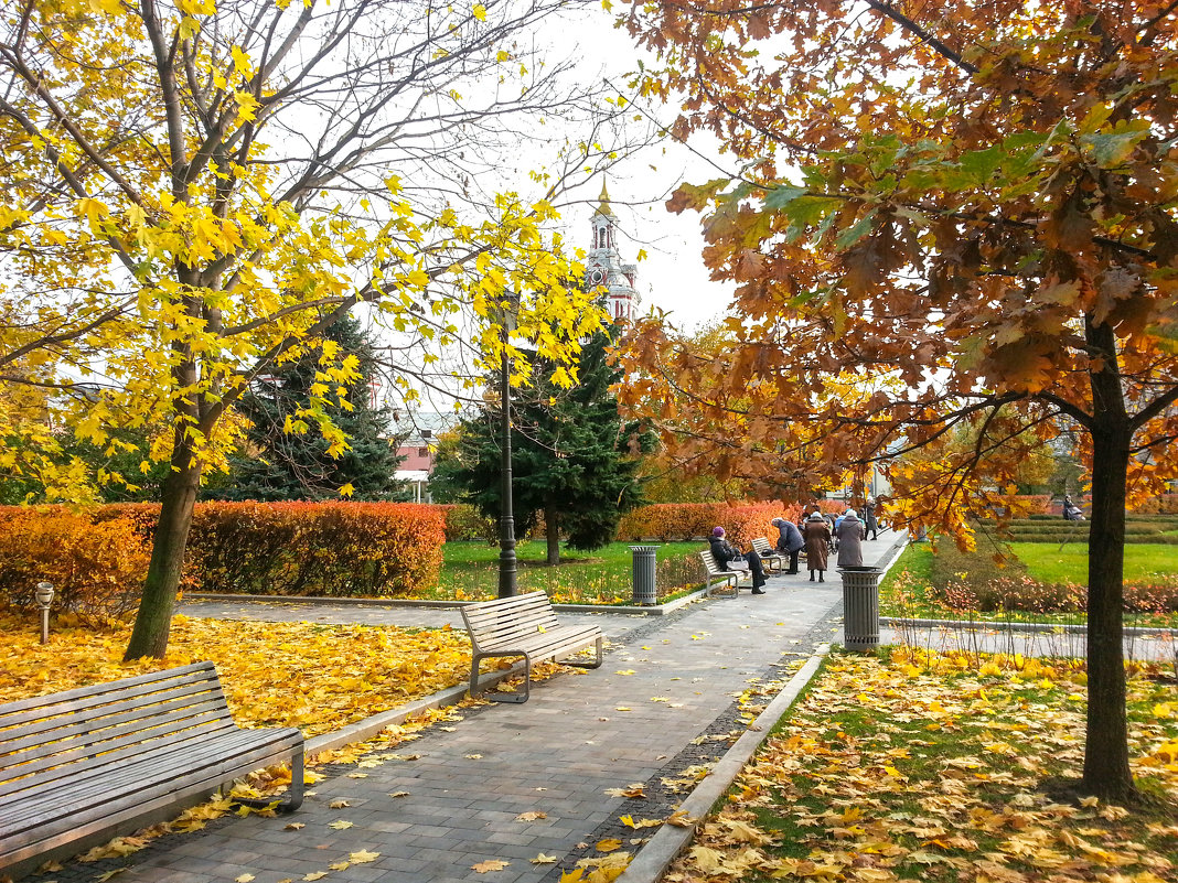 *** - Владимир Безбородов