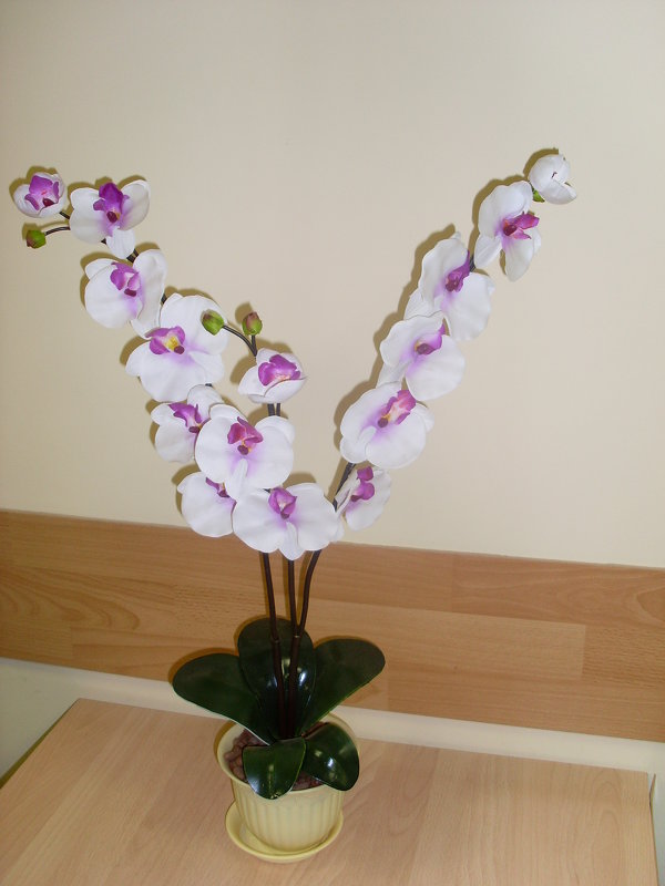 Экибана - орхидея. - Нина Акарцева 