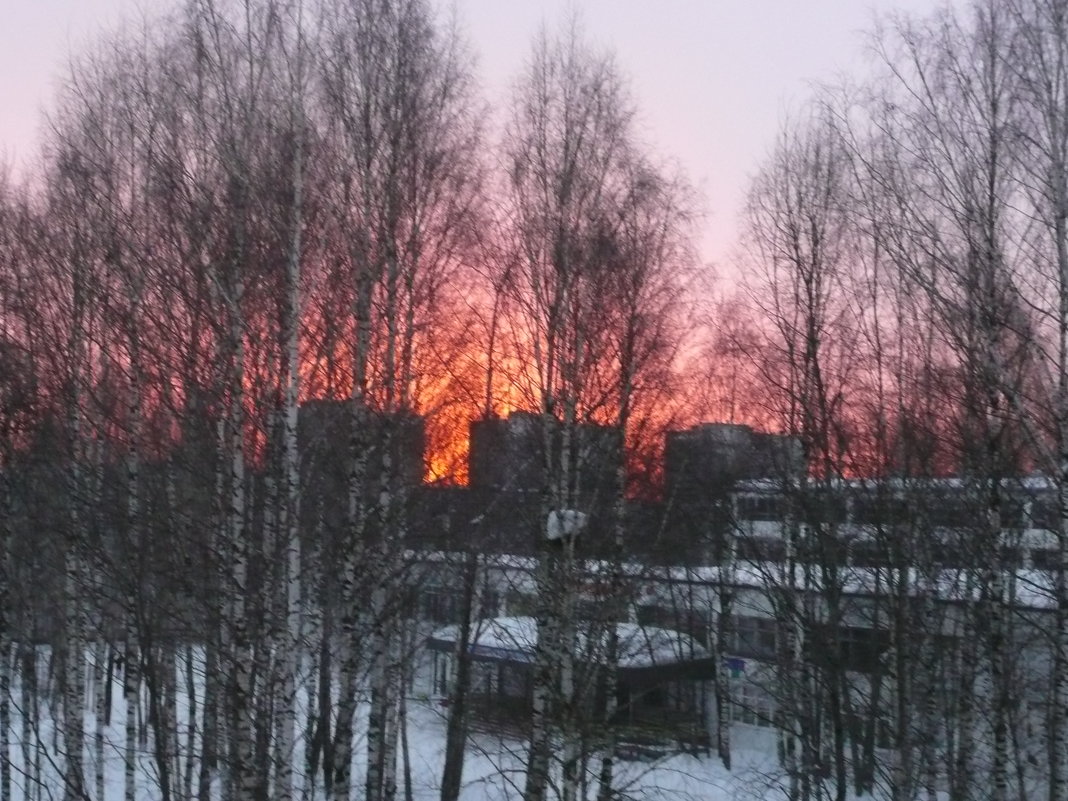 Морозный рассвет в городе. - Виктор 