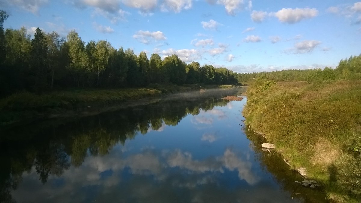 Раннее утро, осень - Игорь Ч.