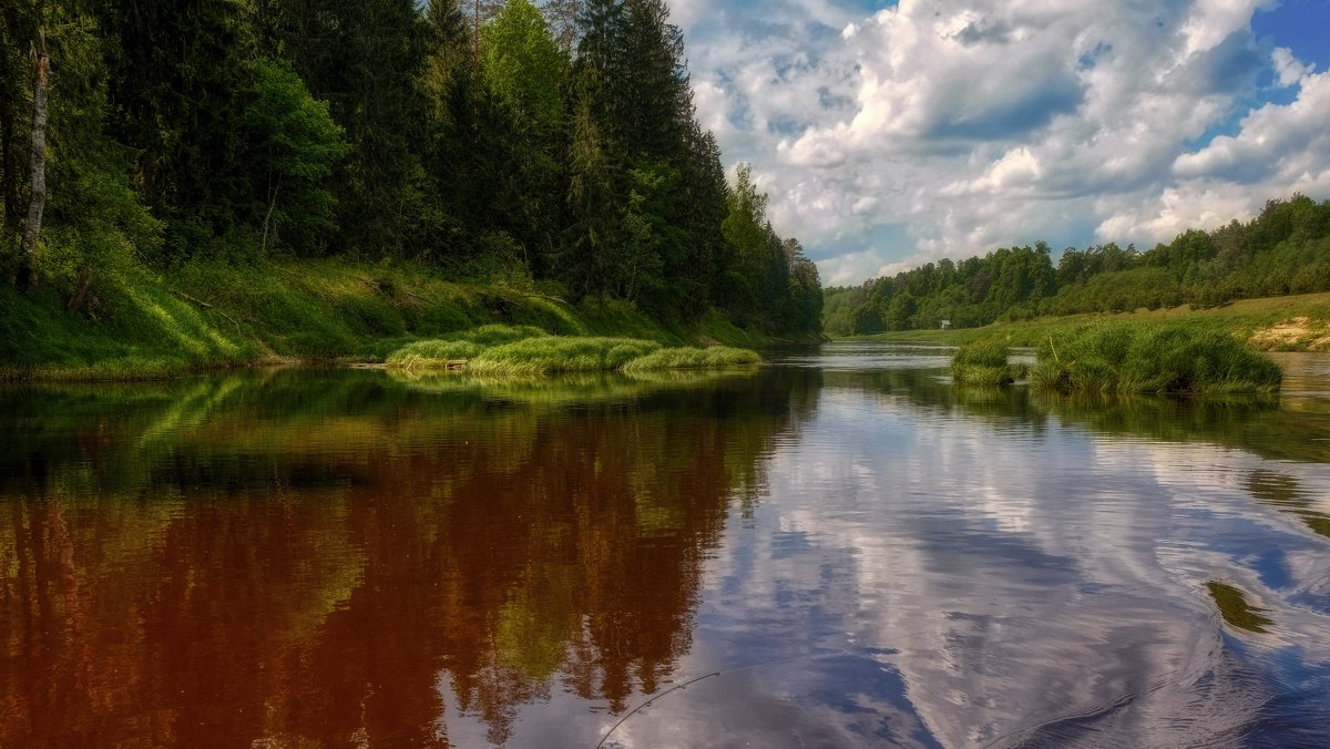 Река Плюсса Псковская область