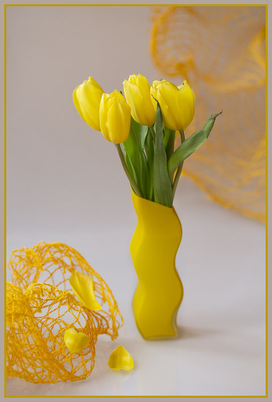 Жёлтые тюльпаны - Светлана Карнаух