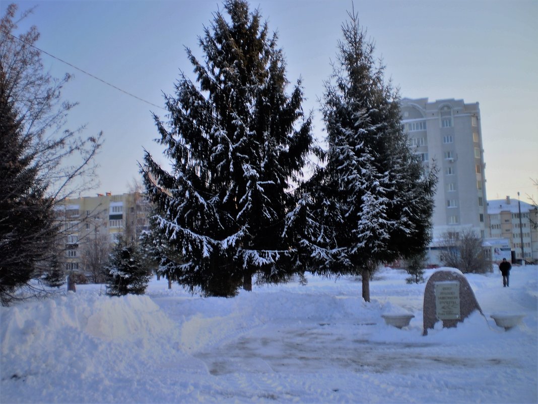 В парке. - Венера Чуйкова